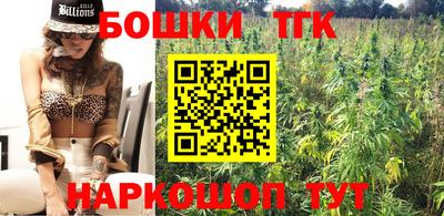 крисы Новодвинск