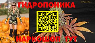 крисы Новозыбков