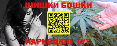 крисы Новозыбков