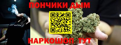 крисы Новодвинск