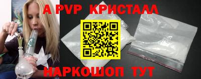 крисы Новодвинск