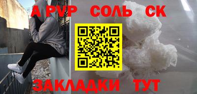 крисы Новодвинск