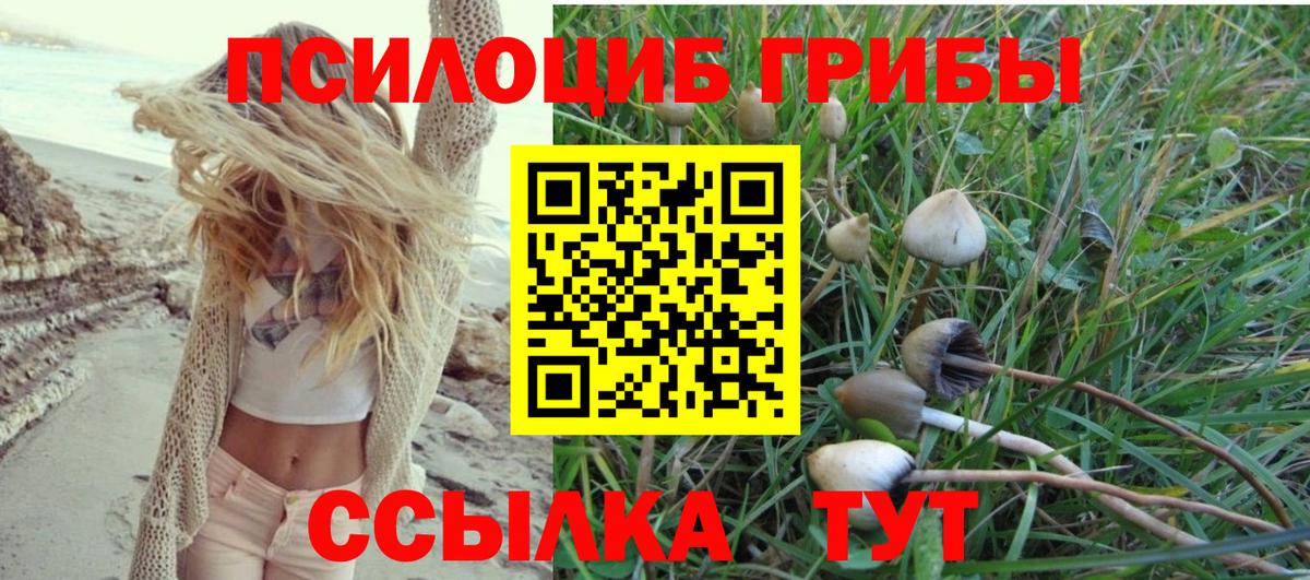 Галлюциногенные грибы MAGIC MUSHROOMS Сухой Лог
