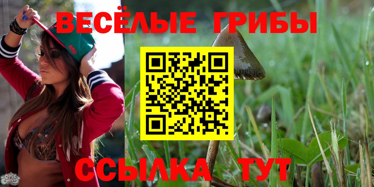 Сухой Лог  Галлюциногенные грибы мухоморы  закладка  Вход с VPN 
